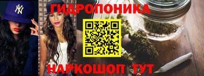 прущие крисы Будённовск