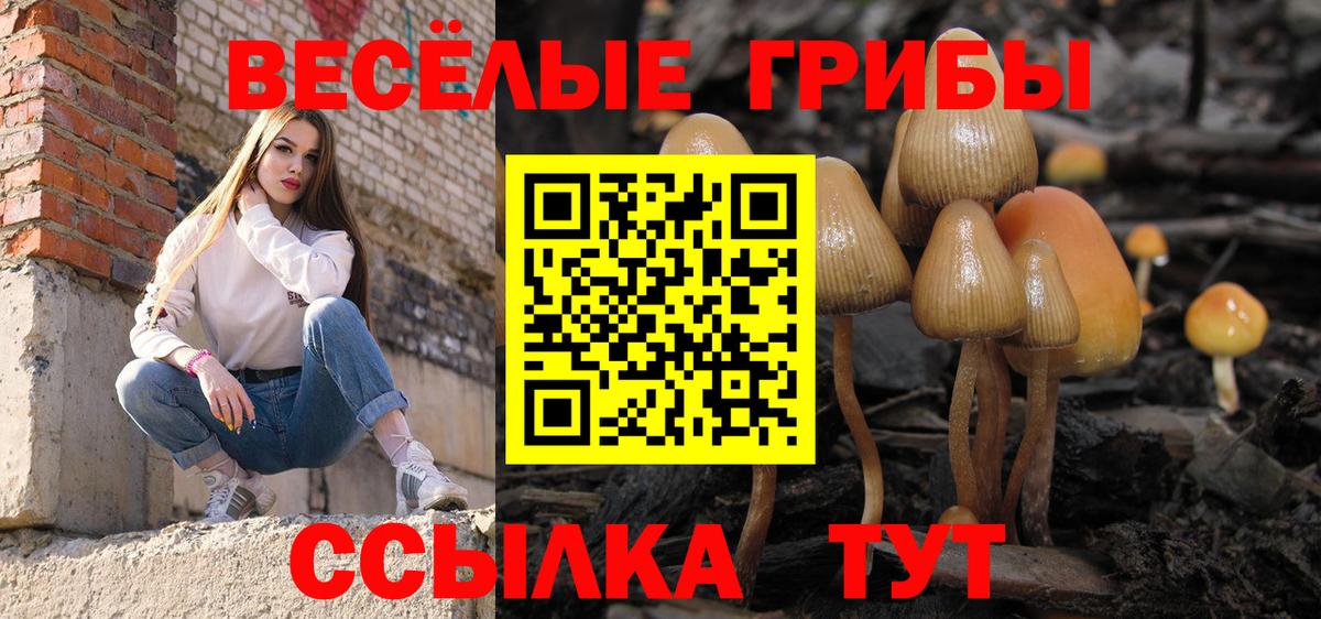 Галлюциногенные грибы Magic Shrooms  Вход с VPN  Пермь 